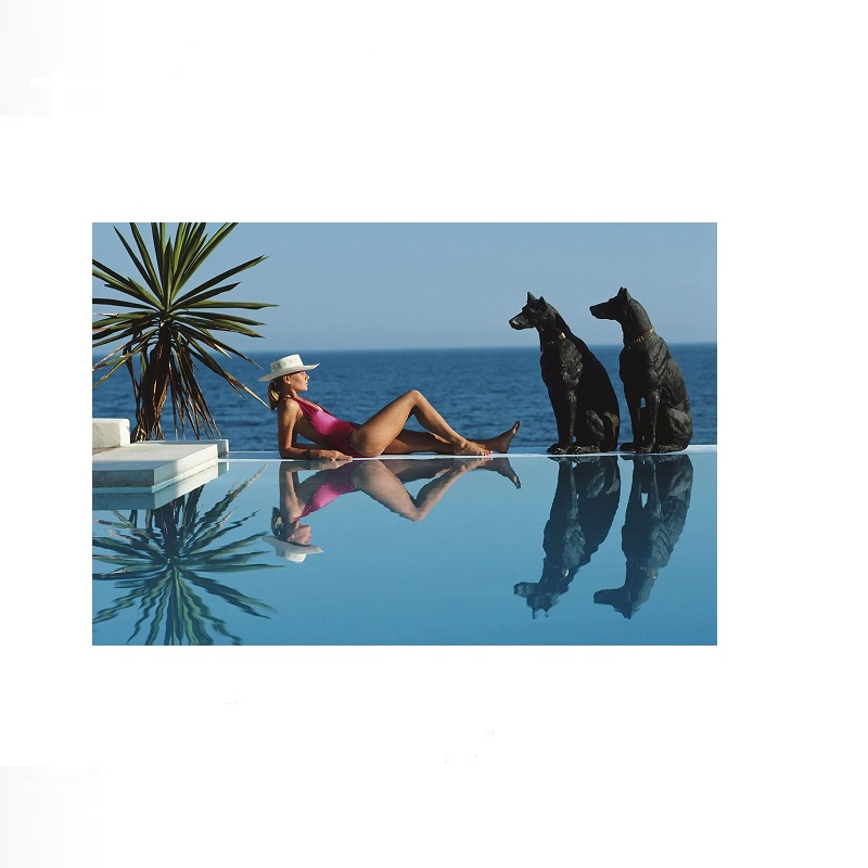 Retro Poolside Host Luxury Lif - Luxury Lifestyle Picture review and price